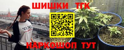 PSILOCYBIN Пенза